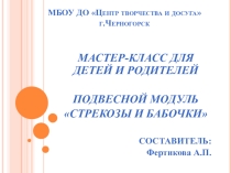 Презентация Мастер-класс для детей и родителей Подвесной модуль Стрекозы и бабочки