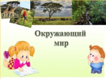 Презентация по окружающему миру на тему Где живут слоны? (1 класс)