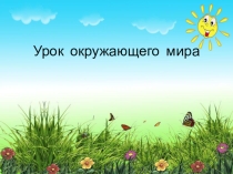 Презентация по окружающему миру по теме Животные