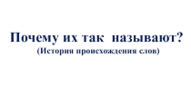 Презентация внеурочной деятельности по русскому языку на тему: Почему их так называют?(История происхождения слов) (1 класс)