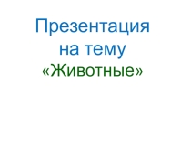 Презентация