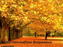 Сыйныфтан тыш чара Көз патшабикәсе иленә сәяхәт