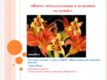 Проект Имена прилагательные в названиях растений