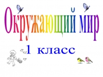 Презентация по окружающему миру на тему: Как помочь птицам зимой (1 класс)