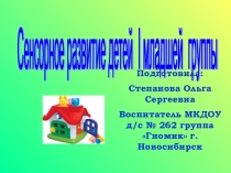 Сенсорное развитие детей I младшей группы