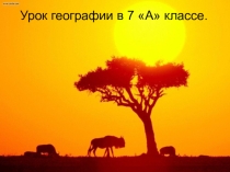 Презентация по географии для 7 класса Население Африки