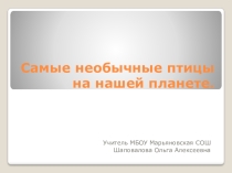 Презентация по биологии на тему: Самые необычные птицы нашей планеты