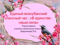 Презентация классного часа В единстве наша сила