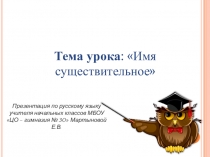 Презентация по русскому языку Имя существительное