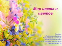 Презентация по английскому языку Мир цвета и цветов (2 класс)