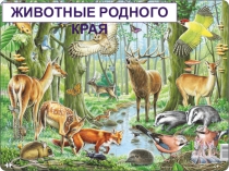 Презентация к уроку на тему Животные (7 класс)