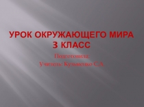 Презентация по окружающему миру Как нам жить дальше?