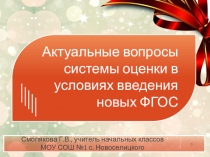 Актуальные вопросы системы оценки в условиях введения новых ФГОС