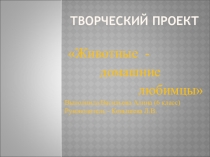 Приложение к индивидуальному творческому проекту Домашние животные - любимцы 6 класс.