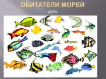 Презентация по окружающему миру на тему Обитатели морей