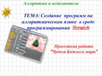 Презентация к уроку Проектная работа Чудеса Божьего мира