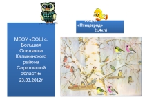 Презентация Кормушки к районной экологической акции Птицеград (1, 4 класс)
