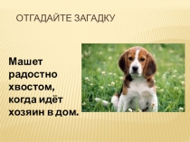 Презентация по русскому языку. Изложение. 4 класс