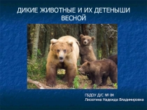 Презентация по ознакомлению с окружающим миром Дикие звери и их детёныши зимой