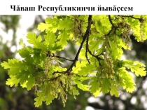 Урок теми: Чăваш вăрманĕ - юман. Чăваш чĕлхи: 4-мĕш класс (вырăс чĕлхиллĕ шкул)