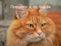 Презентация по развитию речи на тему:Предлоги