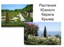 Презентация по окружающему миру на тему Растения Южного берега Крыма