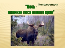Научно - исследовательская конференция для учащихся с ОВЗ Лось - великан Костромского края
