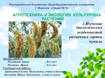 Презентация к исследовательской работе Изучение биохимических особенностей чумизы