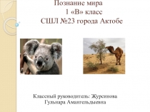 Дикие и домашние животные