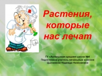 Презентация Растения, которые нас лечат