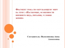 Стендовый урок по окружающему миру