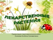 Лекарственные растения