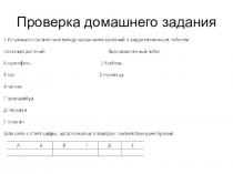 Презентация по биологии на тему Соцветие (6 класс)