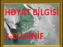 Həyat bilgisi üçüncü sinif.