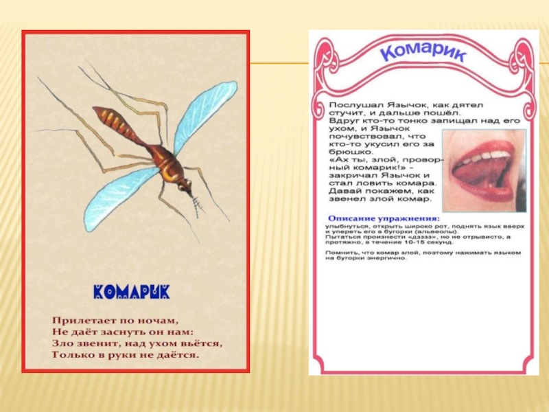 Артикуляционная гимнастика