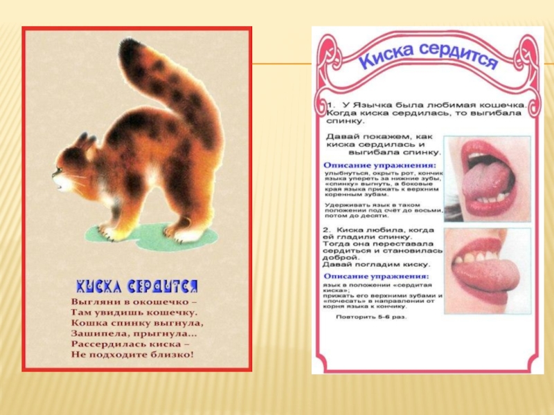 Артикуляционная гимнастика