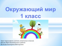 Презентация по окружающему миру Когда изобрели велосипед (1 класс)