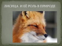Презентация по окружающему миру:  Лисица и её роль в природе!