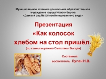 Презентация познавательного занятия Как колосок хлебом на стол пришёл для детей дошкольного возраста