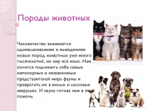 Творческая работа по биологии ученицы 9 класса Черепановой Валерии по теме: Селекция. Породы животных