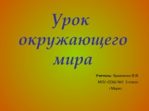 Презентация по окружающему миру на тему  Животные живые существа