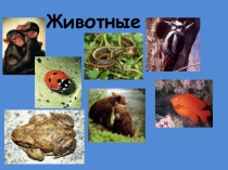 Живонтые, их разнообразие 1 класс УМК Гармония