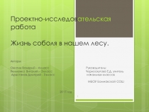 Презентация по теме проектно-исследовательская работа Жизнь соболя в нашем лесу.