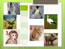 Презентация к интегрированному уроку математики и окр. мира