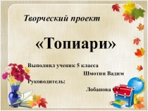 Презентация Творческий проект Топиарии