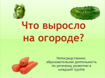 Презентация к НОД Что выросло на огороде?