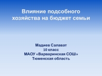 Влияние ЛПХ на бюджет семьи