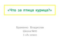 Презентация Что за птица - курица?