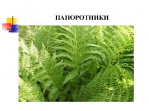 Презентация по биологии ФГОС 5 класс на тему