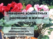 Презентация Значение комнатных растений в жизни человека мероприятие для разновозрастной группы детей